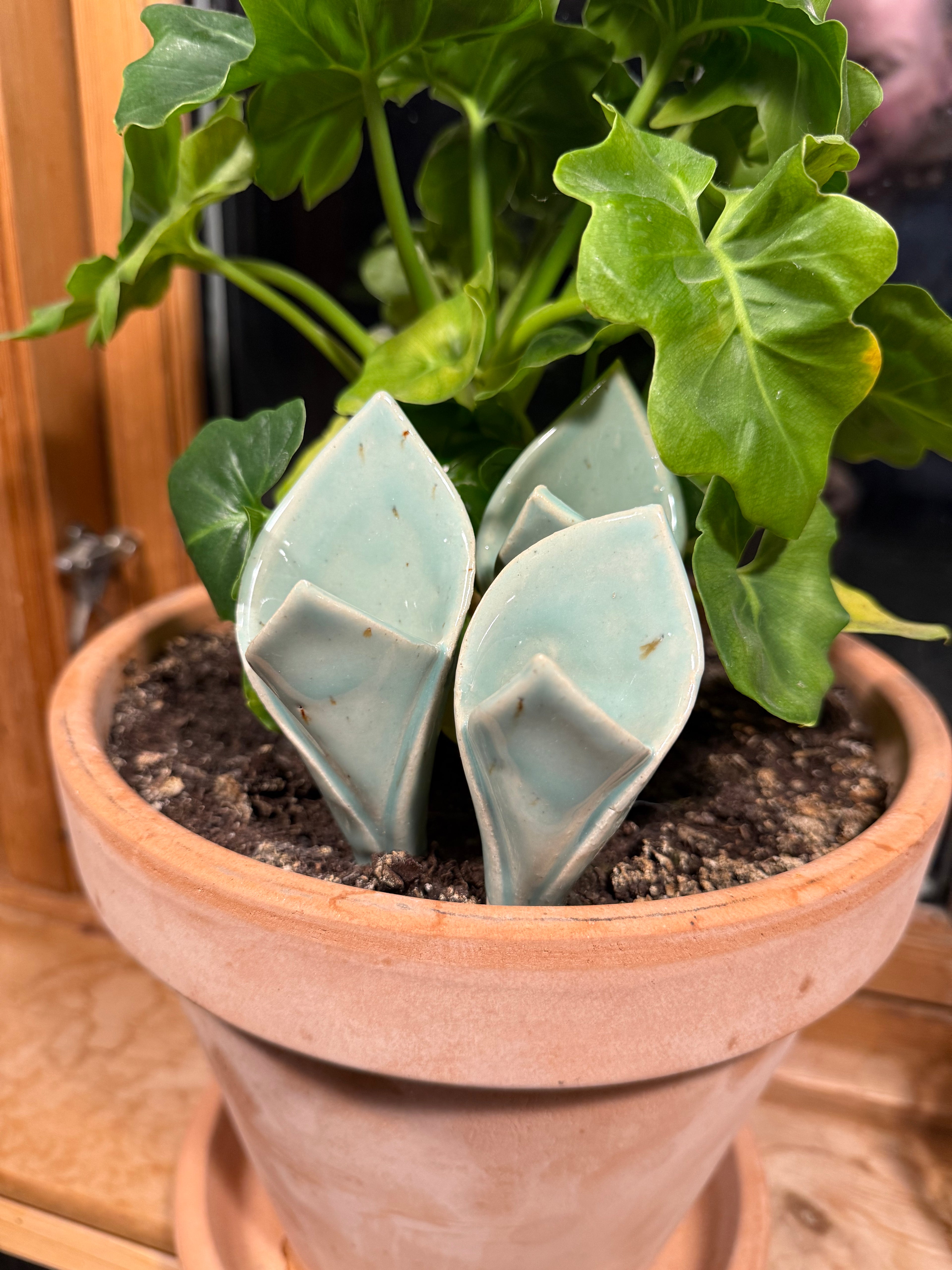 Tulipan deko vase sæt - Farve: Mint